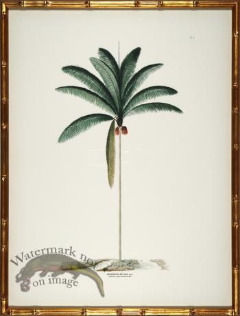 Palm trees in Gold Bamboo 04